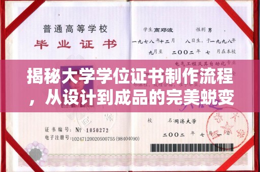 全椒揭秘大学学位证书制作流程，从设计到成品的完美蜕变